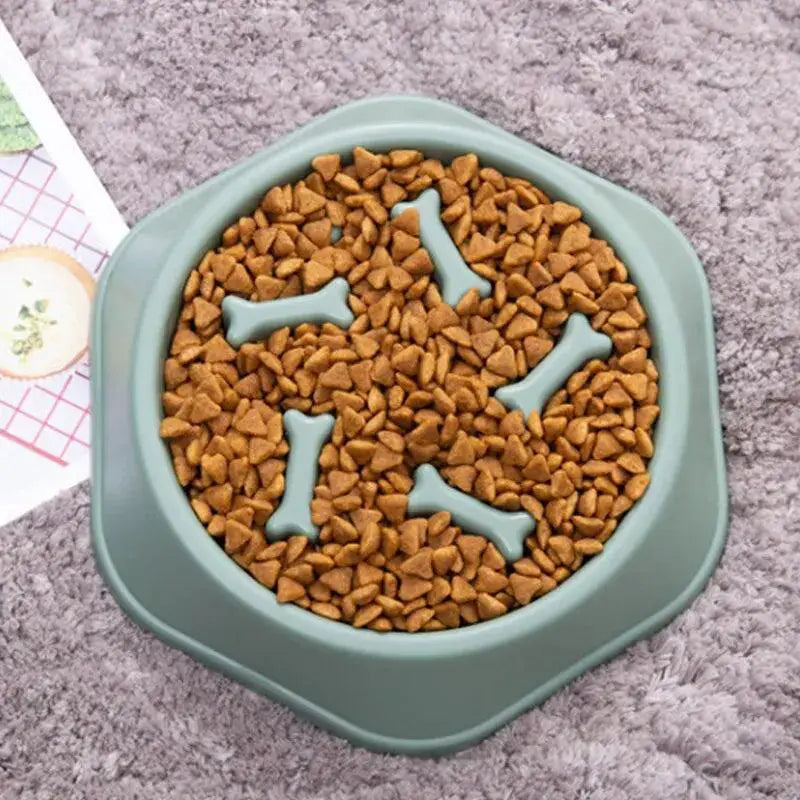 Slow Feeder Dog Bowl: Pet Anti - Choking Plate for Safe Eating