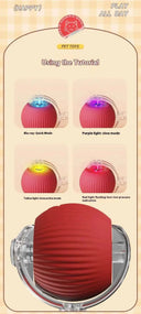 Autonomous Ball For Indoor Pet Playtime