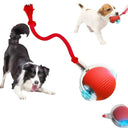 Autonomous Ball For Indoor Pet Playtime