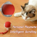 Autonomous Ball For Indoor Pet Playtime