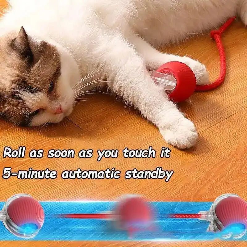Smart Dog Interactive Balls - Automatic Rolling Pet Toys For Indoor Training Fun