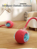 Autonomous Ball For Indoor Pet Playtime