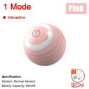 Autonomous Ball For Indoor Pet Playtime