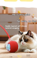 Autonomous Ball For Indoor Pet Playtime