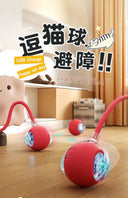 Autonomous Ball For Indoor Pet Playtime