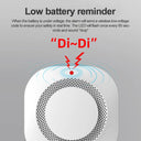 Smart Fire Alarm System: High Sensitivity Smoke Detector