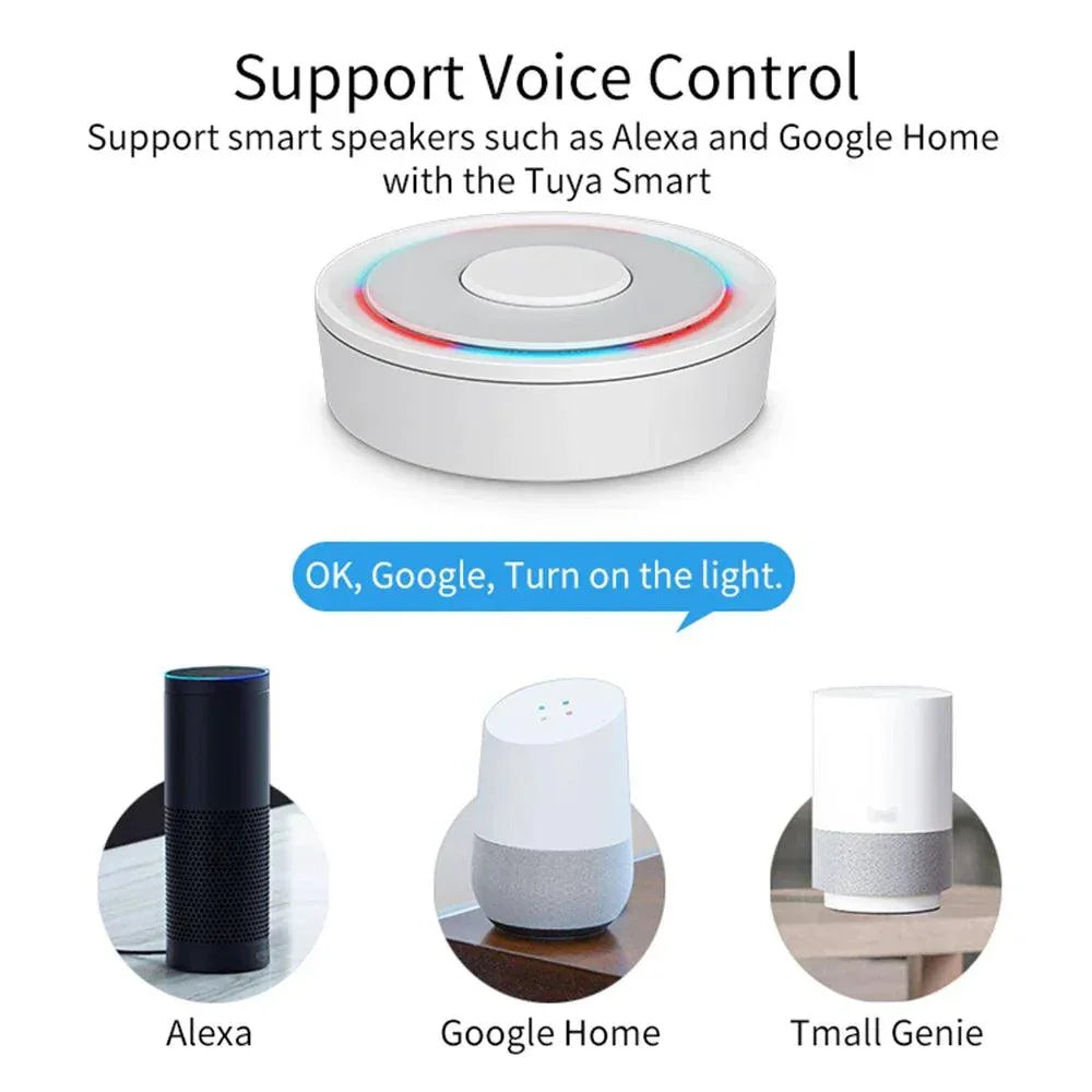 Smart Home Hub Alexa Google Apple Integration Platform