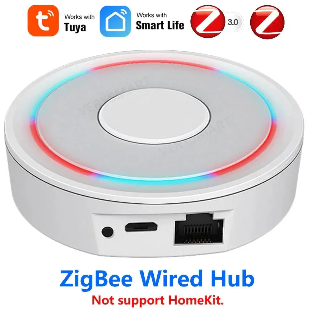 Smart Home Hub Alexa Google Apple Integration Platform