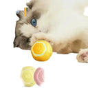 Cat Toy Ball for Indoor Cats Active Play