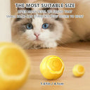 Cat Toy Ball for Indoor Cats Active Play