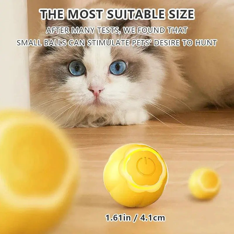 Smart Interactive Cat Toy Ball for Indoor Cats Magic Ball