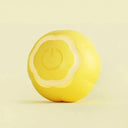 Cat Toy Ball for Indoor Cats Active Play