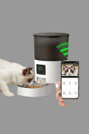Pet Supplies & Accessories