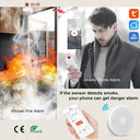 Smart WiFi Carbon Monoxide Detector With Real-Time Alerts