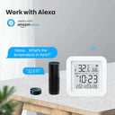 SmartLife WiFi Hygrometer for Smart Home Alexa Sensor
