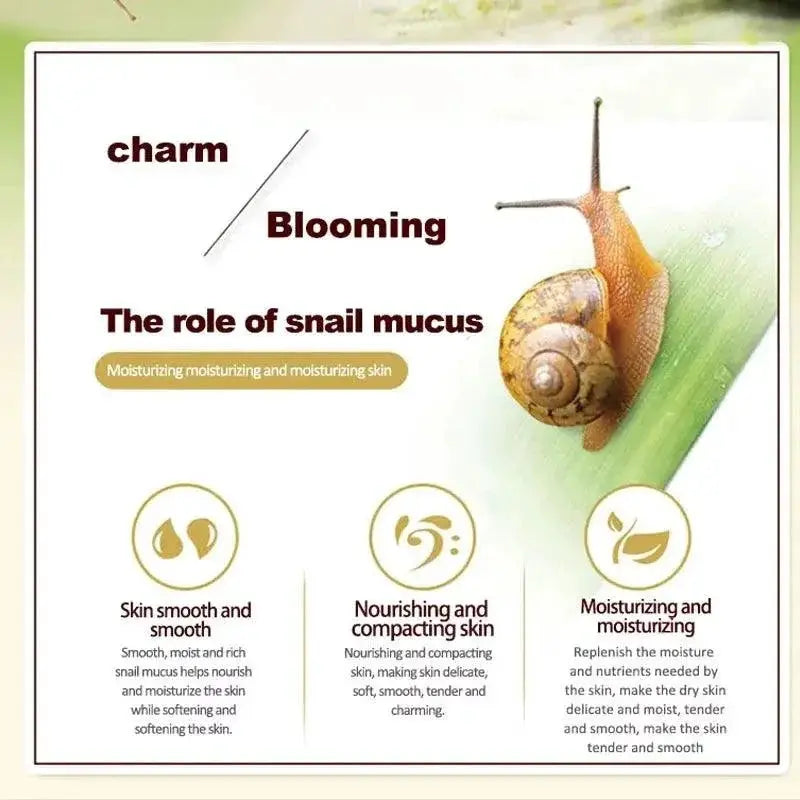 Snail Collagen Youthful Radiance Skincare Duo Set For Glow