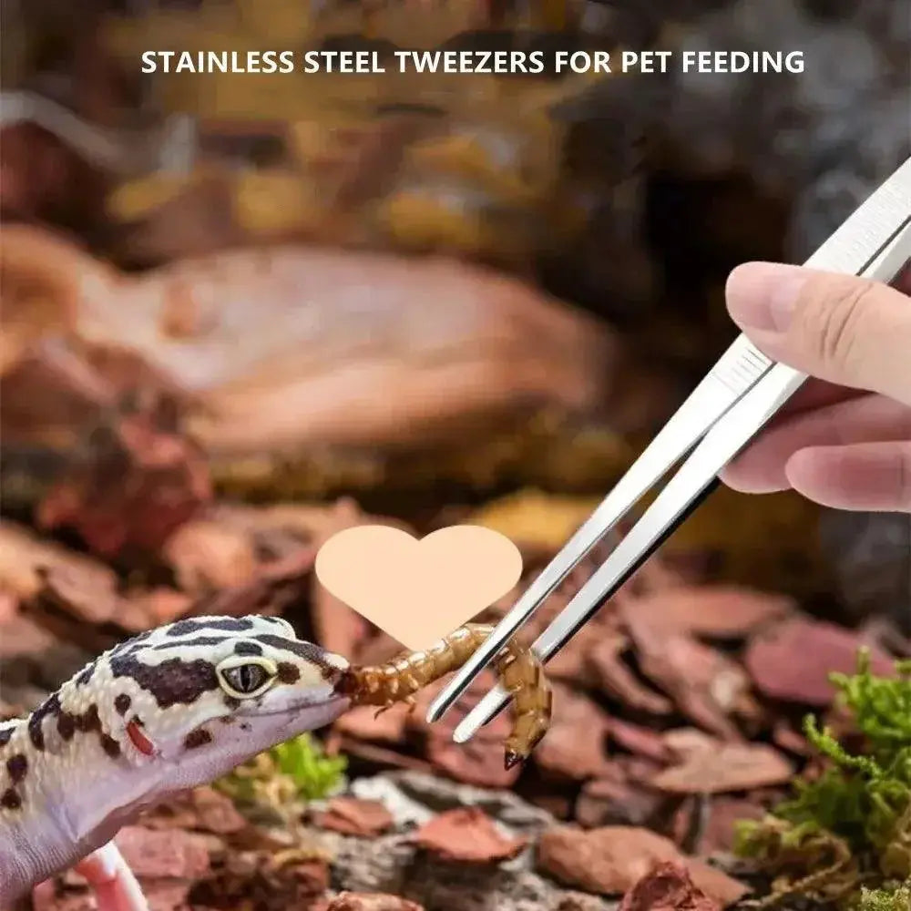 Stainless Steel Elbow Tweezers For Precision Tasks