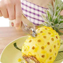 Pineapple Peeler Stainless Steel and Seed Remover Tool