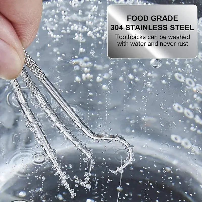 Stainless Steel Tartar Remover Set for Oral Hygiene