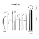 Stainless Steel Toothpick Set for Portable Oral Care