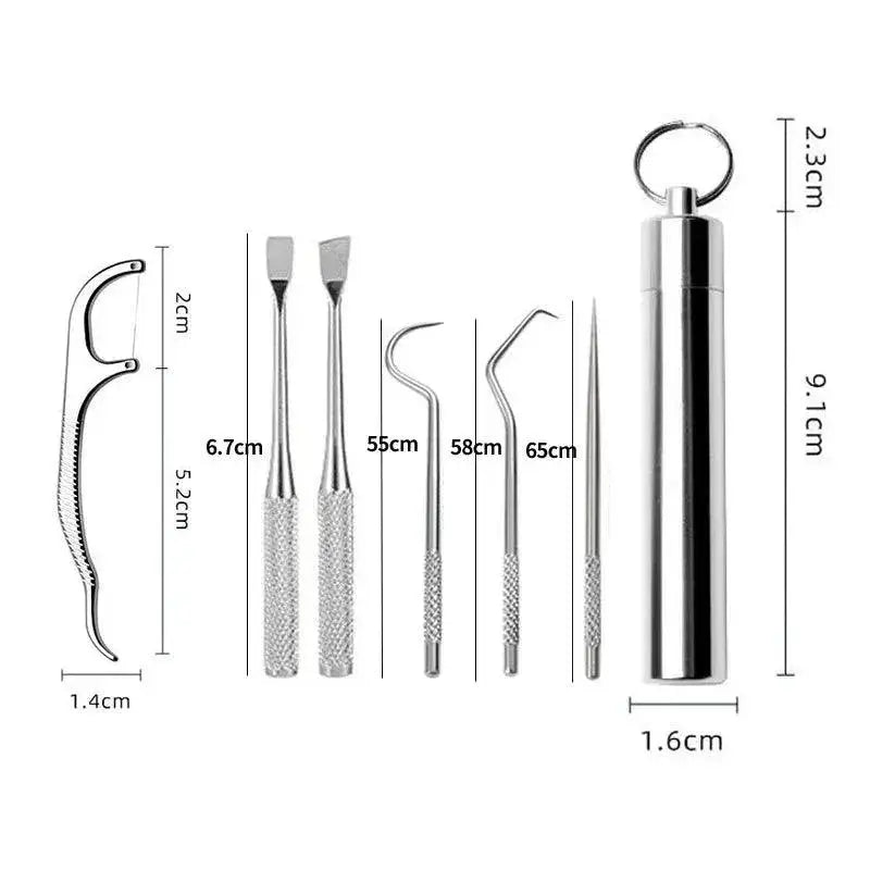 Stainless Steel Toothpick Set for Portable Oral Care