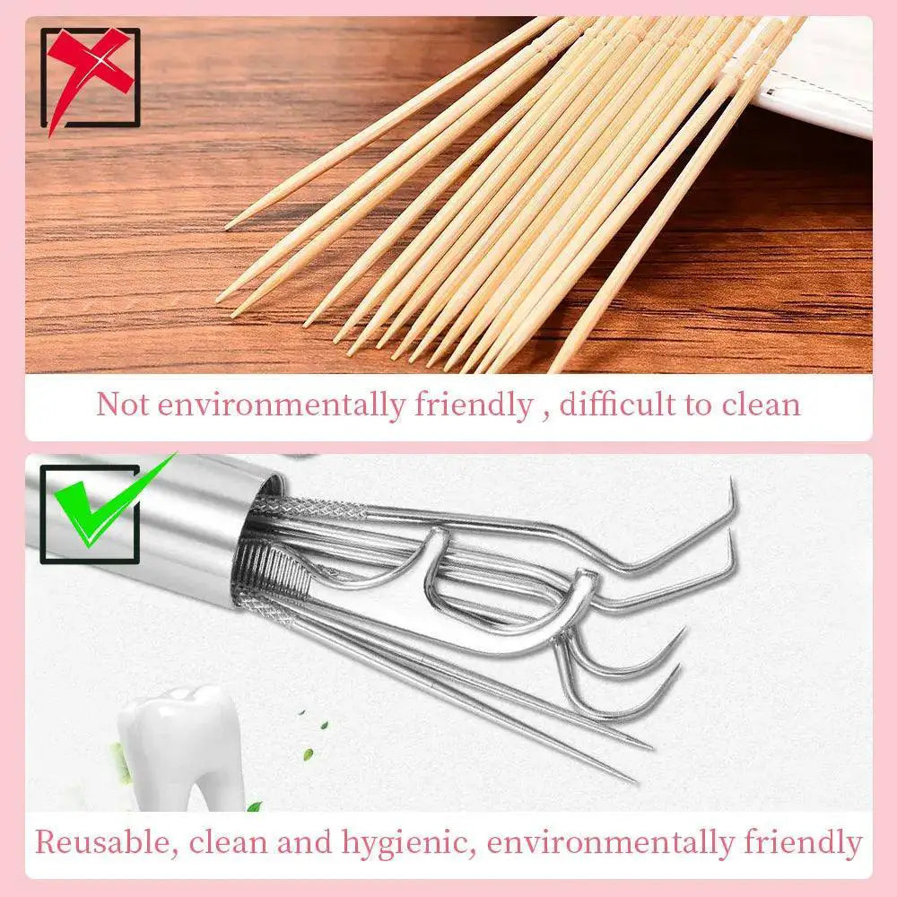 Stainless Steel Toothpick Set Premium Oral Care Tool