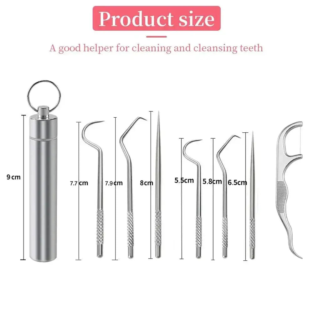 Stainless Steel Toothpick Set Premium Oral Care Tool