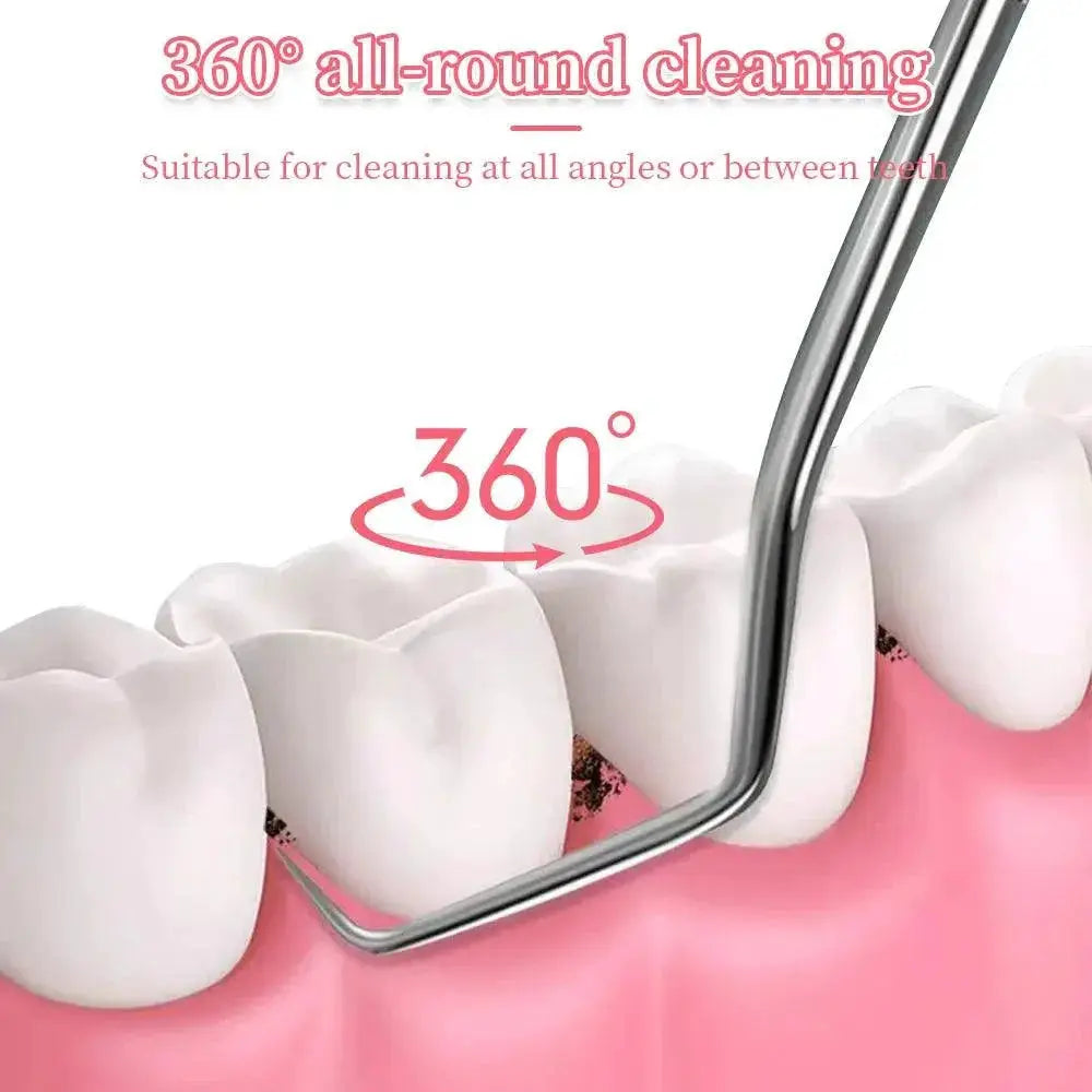 Stainless Steel Toothpick Set Premium Oral Care Tool