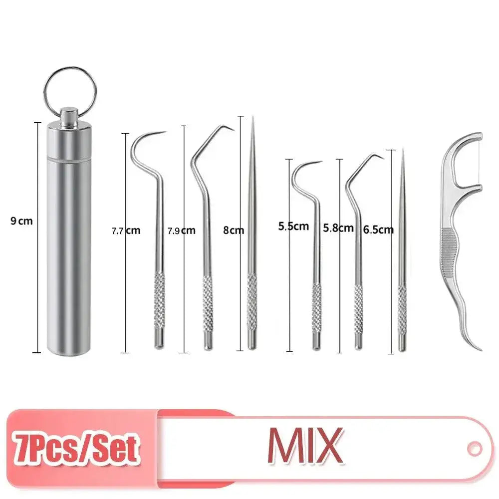 Stainless Steel Toothpick Set Premium Oral Care Tool
