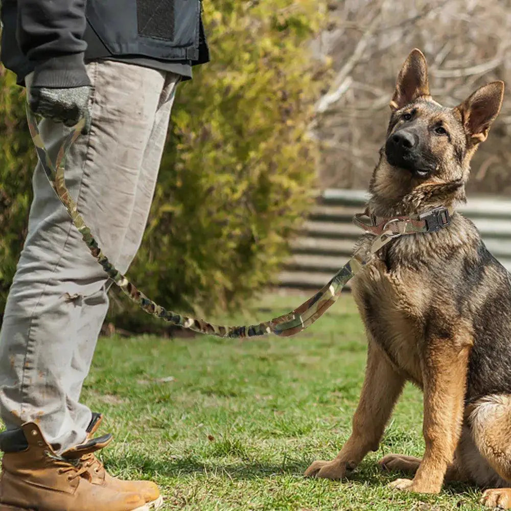 Strong Dog Tactical Nylon Collar And Bungee Leash Set