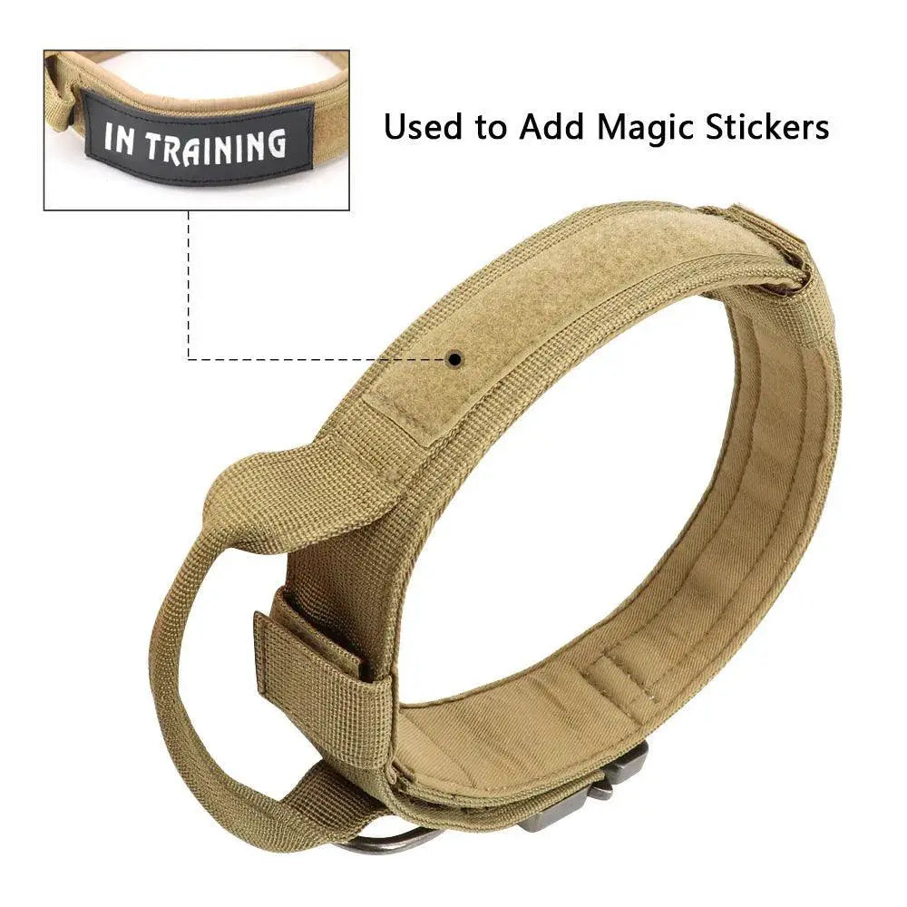 Strong Dog Tactical Nylon Collar And Bungee Leash Set