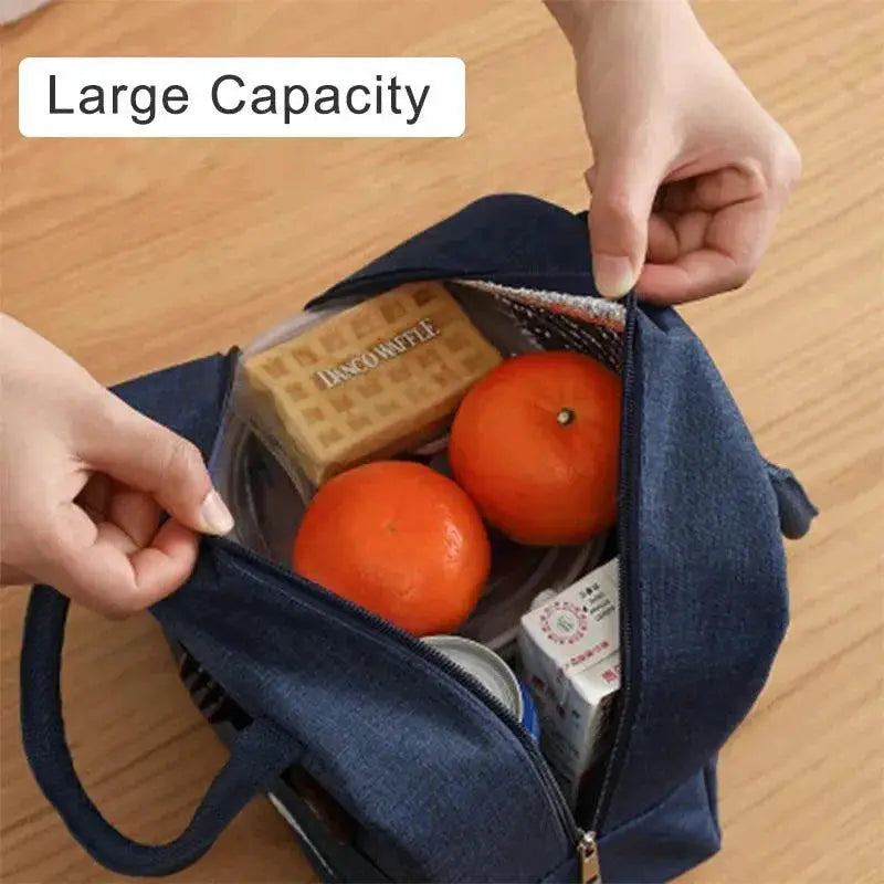 Insulated Lunch Bag for Women and Kids Portable Cooler