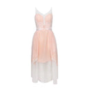 Sultry Mesh Party Dress Chic Lace Zipper Detail Glamour