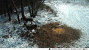 Night Vision Trail Camera for Hunters