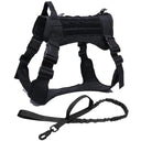 Durable Dog Harness for Active Walks
