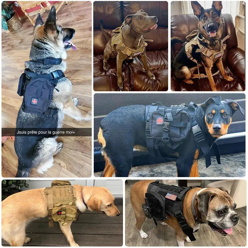 Tactical Dog Harness With Leash Set Premium Gear For Dogs