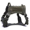 Durable Dog Harness for Active Walks
