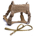 Durable Dog Harness for Active Walks