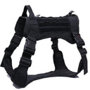 Durable Dog Harness for Active Walks