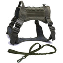 Durable Dog Harness for Active Walks