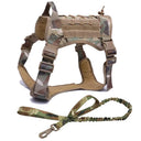 Durable Dog Harness for Active Walks