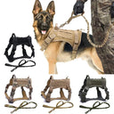 Durable Dog Harness for Active Walks