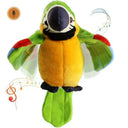 Language Learning Parrot Plush for Kids