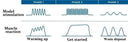 Targeted Fat Burn EMS Mini Stimulator