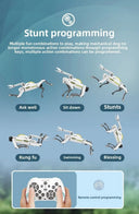Engaging STEM Robot Dog Turret for Teens