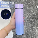 Thermos Bottle Keeps Beverages Hot