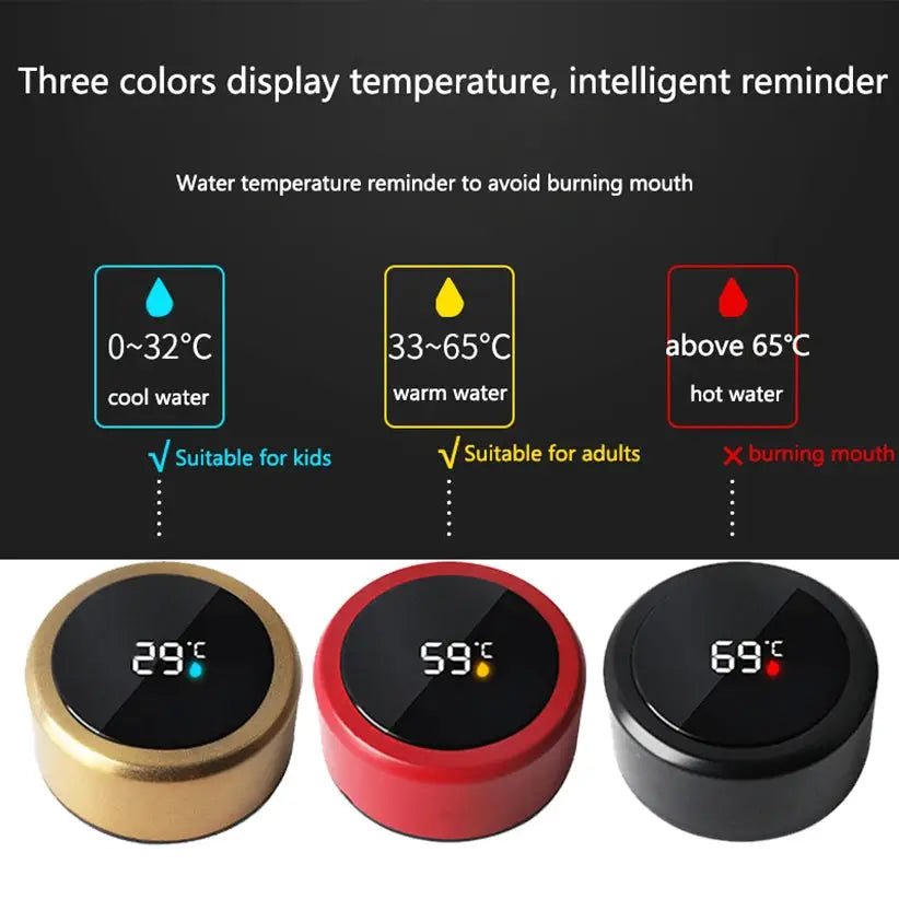 Thermos Bottle Keeps Beverages Hot