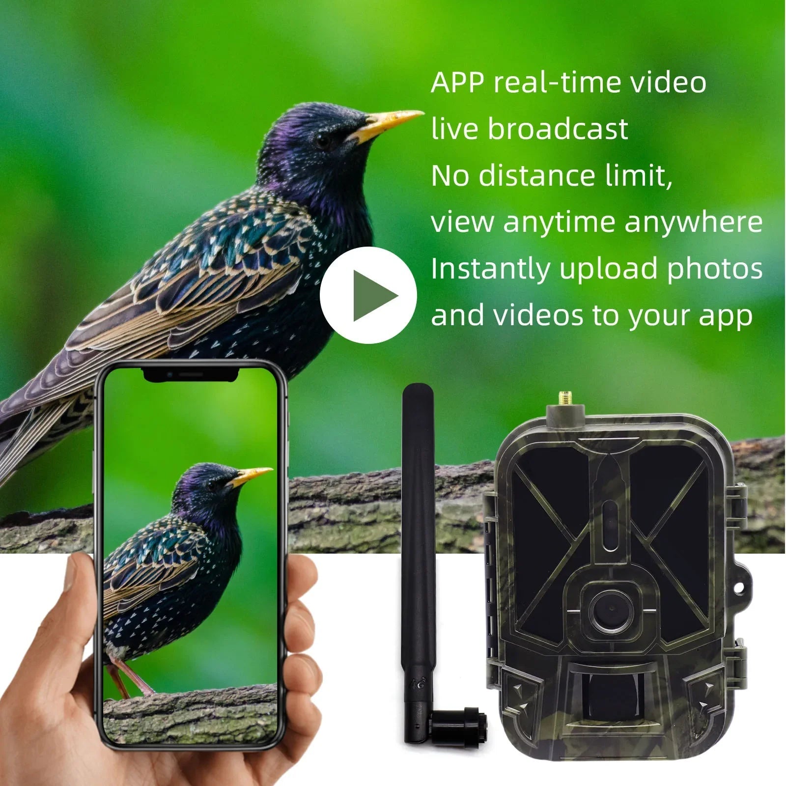 TrailGuard Vision 4G Hunting Camera With App Control 8000mAh Battery - Cloud App