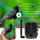 Night Vision Trail Camera for Hunters