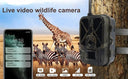 Night Vision Trail Camera for Hunters